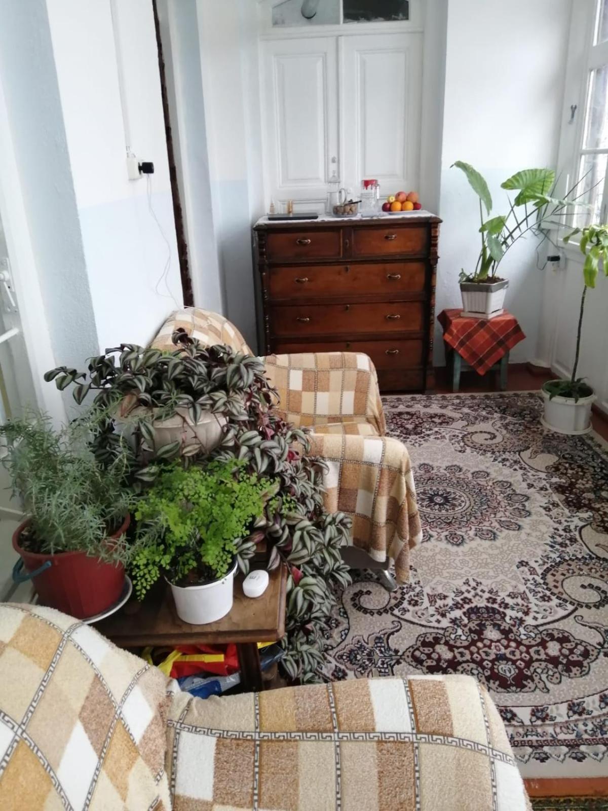 فندق Ali Ancient House 555 Şǝki المظهر الخارجي الصورة