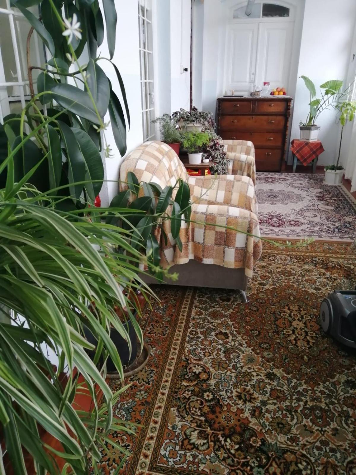 فندق Ali Ancient House 555 Şǝki المظهر الخارجي الصورة